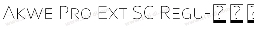 Akwe Pro Ext SC Regu字体转换